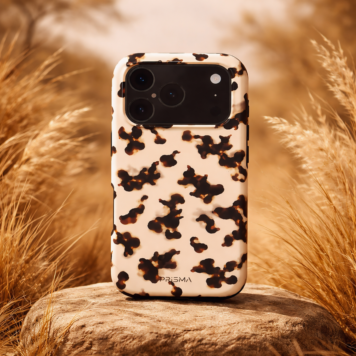 Savanna
